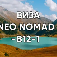 Виза Neo Nomad