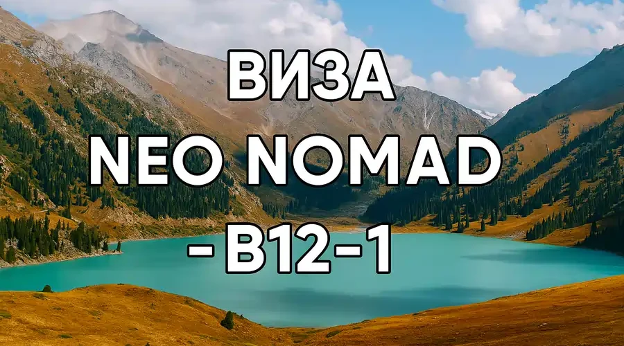 Виза Neo Nomad