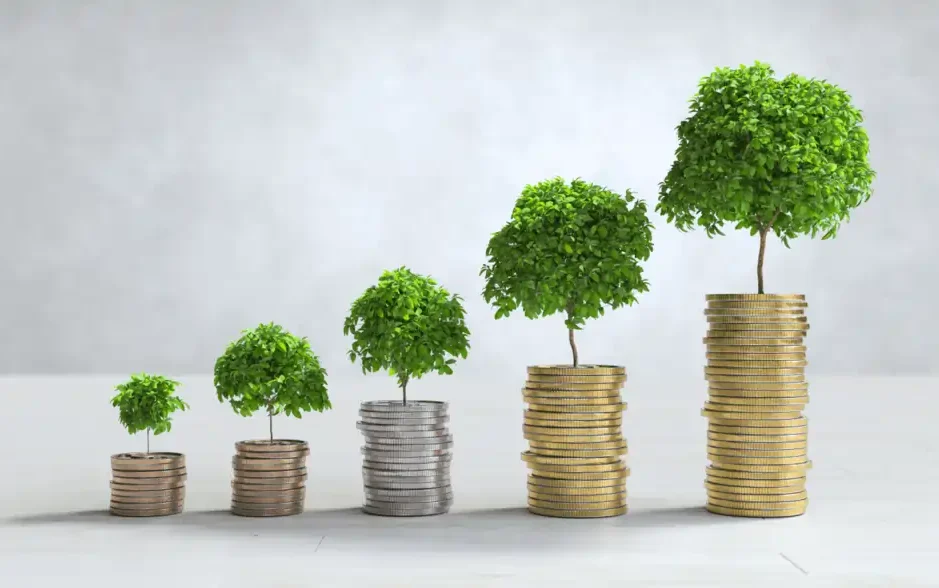 Как рассчитать доход на сбережения и вклад